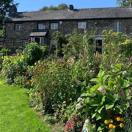 Pant-Y-Creolen Appartement Llanfyllin Buitenkant foto