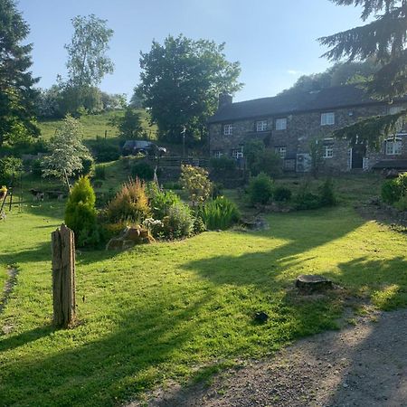 Pant-Y-Creolen Appartement Llanfyllin Buitenkant foto