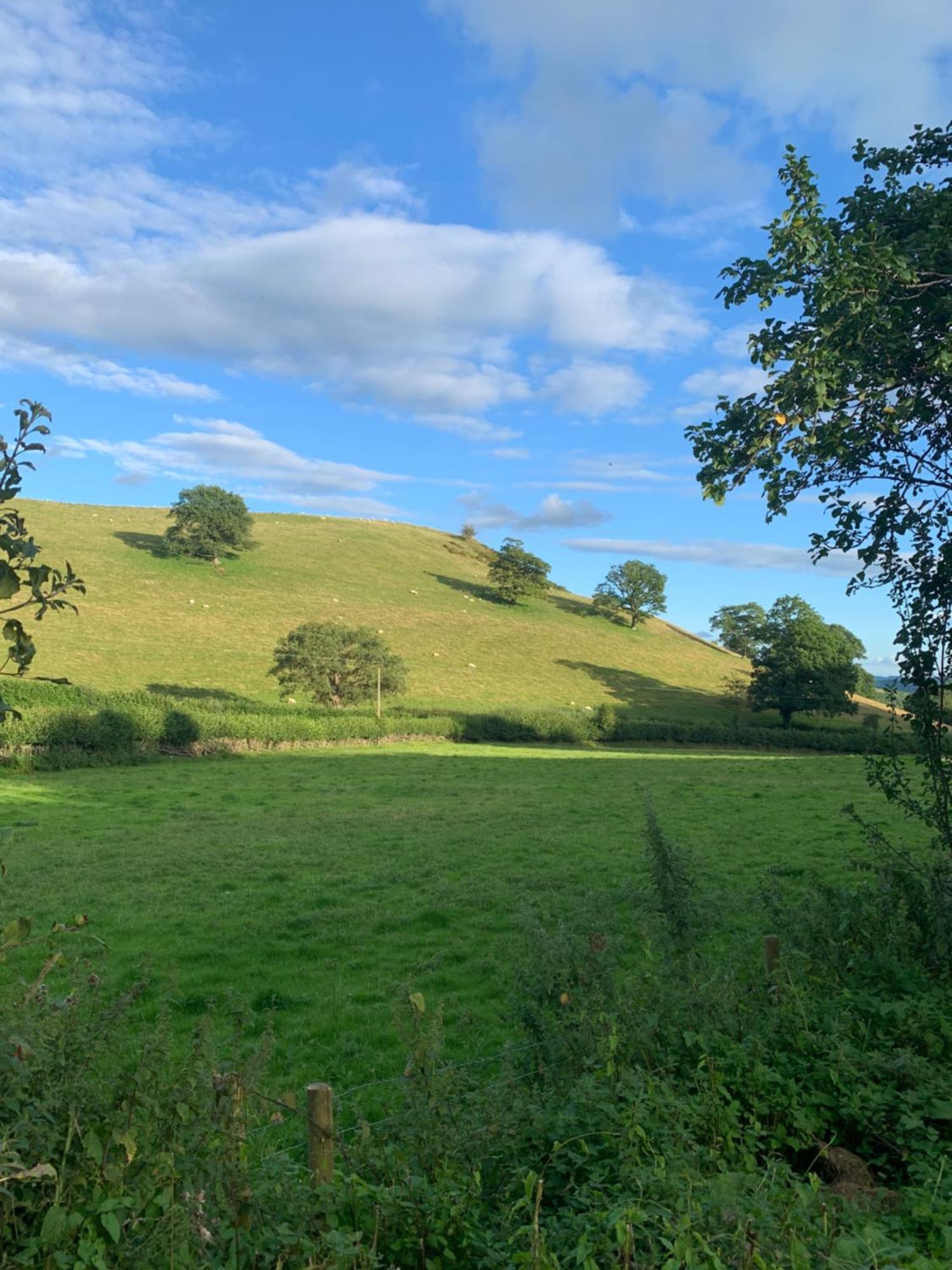 Pant-Y-Creolen Appartement Llanfyllin Buitenkant foto