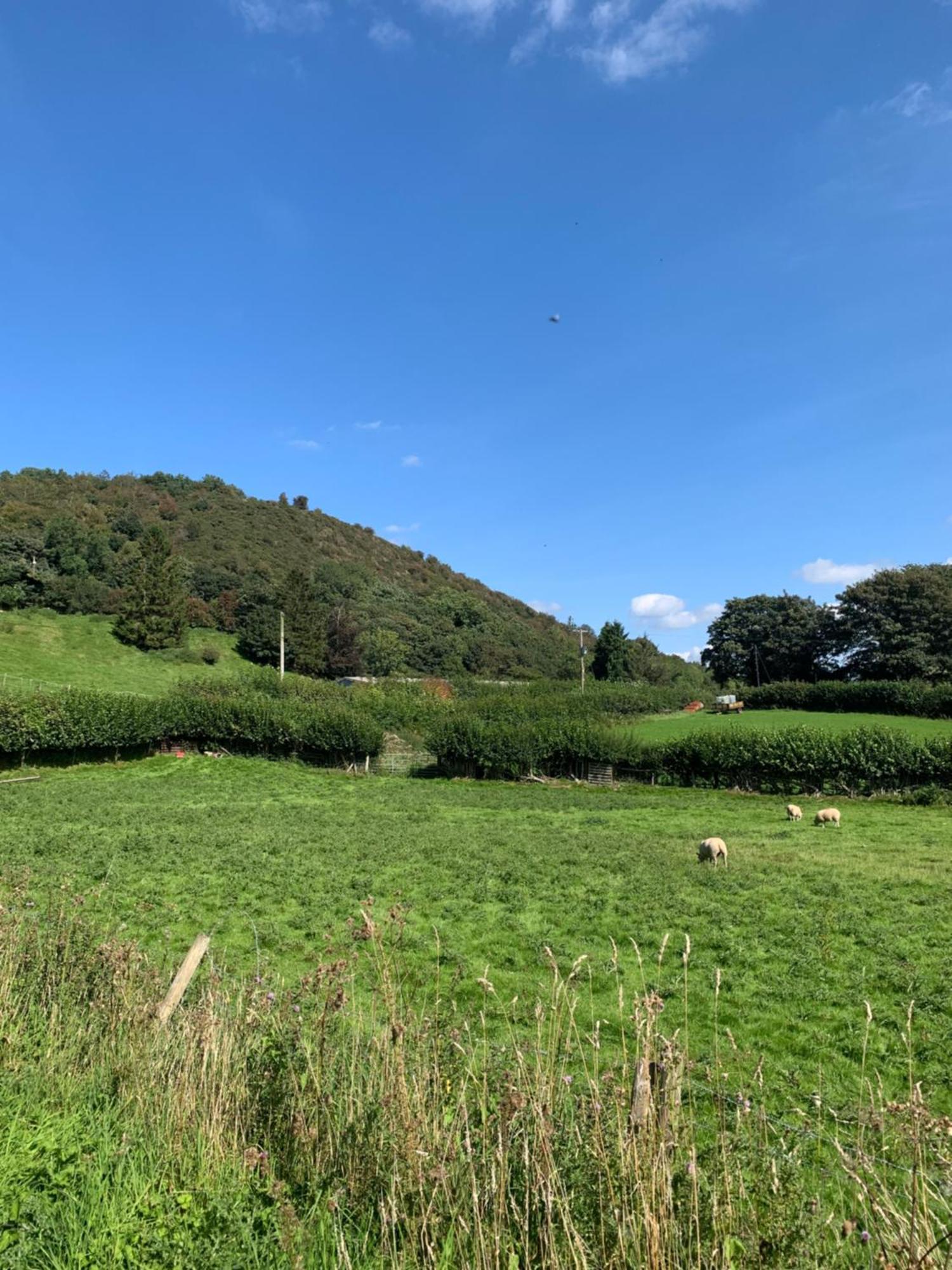 Pant-Y-Creolen Appartement Llanfyllin Buitenkant foto